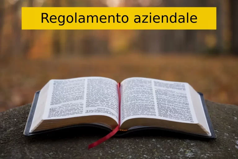 Regolamento aziendlae