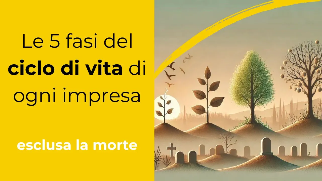 Le 5 fasi del ciclo di vita delle imprese